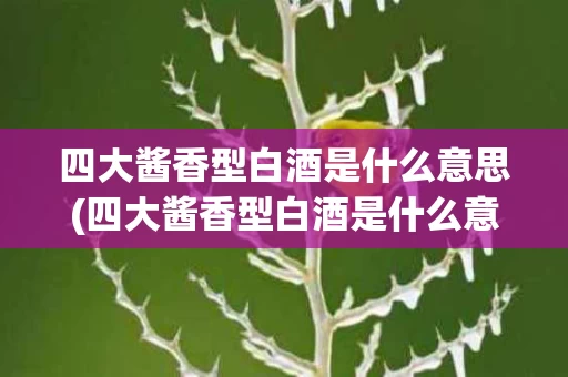 四大酱香型白酒是什么意思(四大酱香型白酒是什么意思呀)