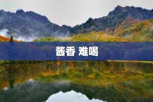 酱香 难喝