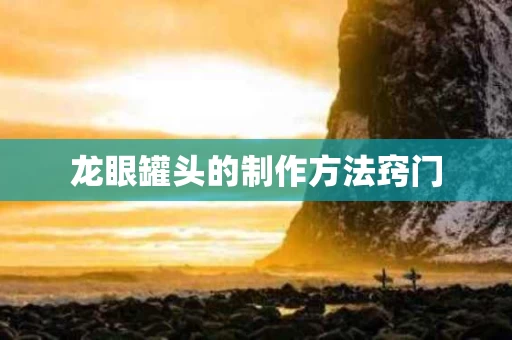 龙眼罐头的制作方法窍门