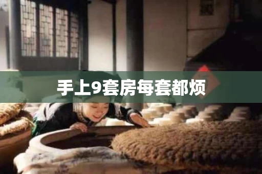手上9套房每套都烦