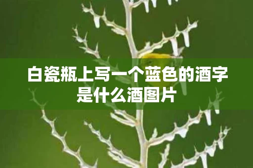 白瓷瓶上写一个蓝色的酒字是什么酒图片