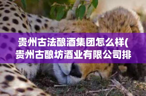 贵州古法酿酒集团怎么样(贵州古酿坊酒业有限公司排名)