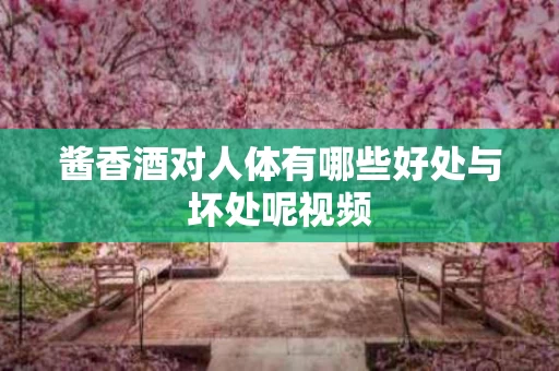 酱香酒对人体有哪些好处与坏处呢视频