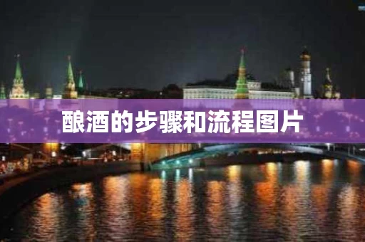 酿酒的步骤和流程图片