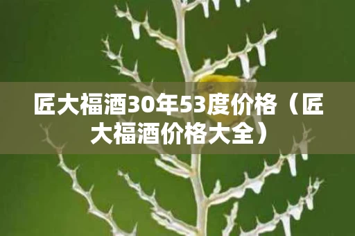 匠大福酒30年53度价格（匠大福酒价格大全）