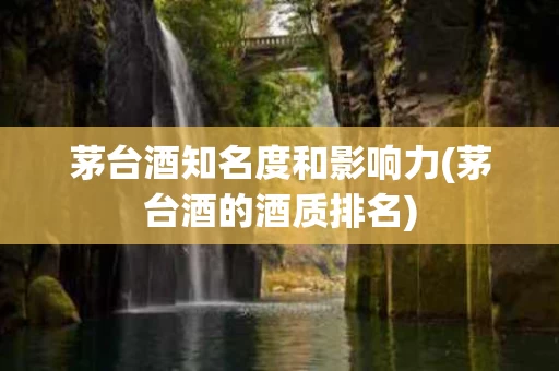 茅台酒知名度和影响力(茅台酒的酒质排名)