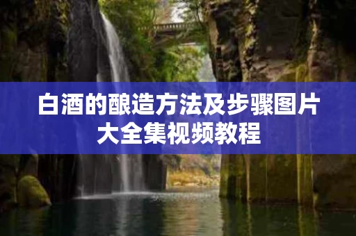 白酒的酿造方法及步骤图片大全集视频教程