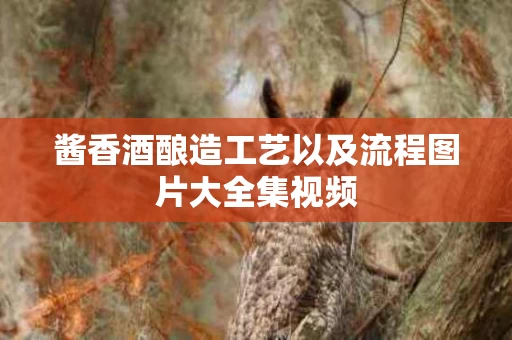 酱香酒酿造工艺以及流程图片大全集视频