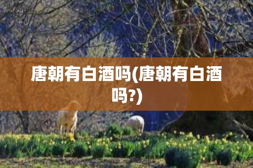 唐朝有白酒吗(唐朝有白酒吗?)