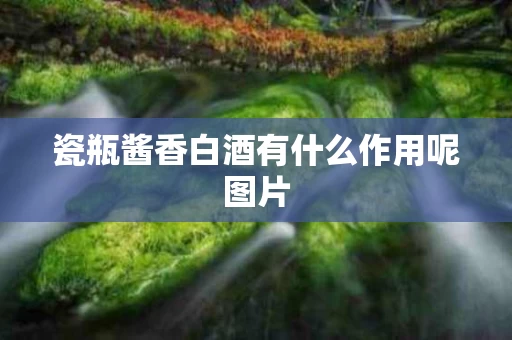 瓷瓶酱香白酒有什么作用呢图片