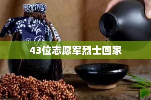 43位志愿军烈士回家