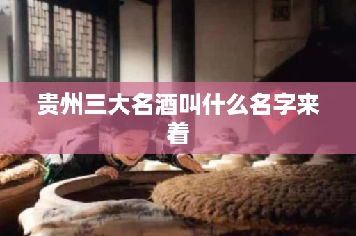 贵州三大名酒叫什么名字来着