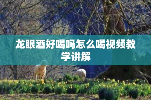 龙眼酒好喝吗怎么喝视频教学讲解