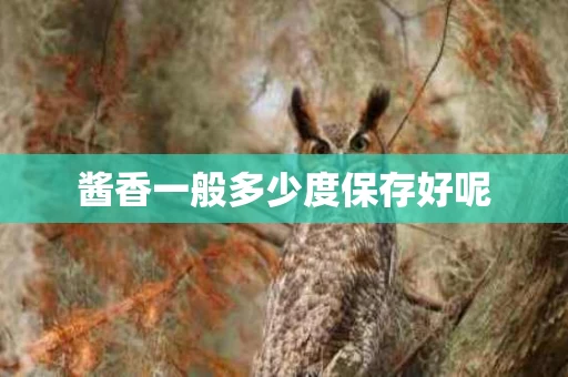 酱香一般多少度保存好呢