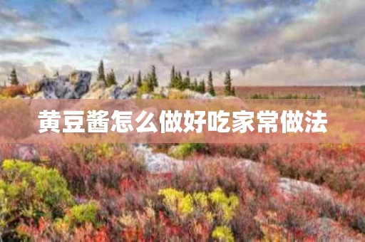 黄豆酱怎么做好吃家常做法