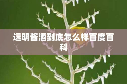 远明酱酒到底怎么样百度百科