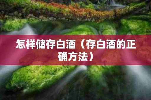 怎样储存白酒（存白酒的正确方法）