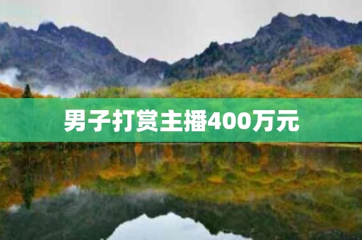 男子打赏主播400万元