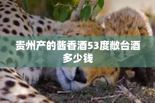 贵州产的酱香酒53度敞台酒多少钱