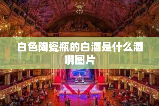 白色陶瓷瓶的白酒是什么酒啊图片