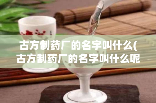 古方制药厂的名字叫什么(古方制药厂的名字叫什么呢)