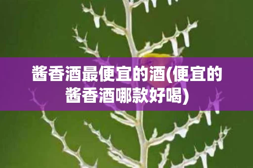 酱香酒最便宜的酒(便宜的酱香酒哪款好喝)