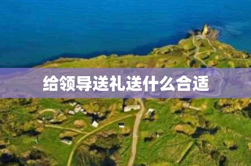 给领导送礼送什么合适