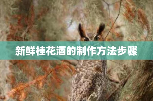 新鲜桂花酒的制作方法步骤