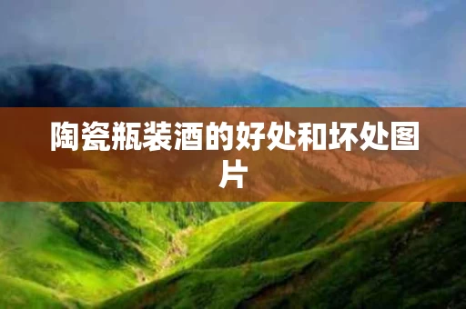 陶瓷瓶装酒的好处和坏处图片