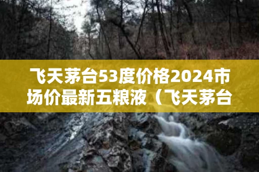 飞天茅台53度价格2024市场价最新五粮液（飞天茅台53度500ml2020）