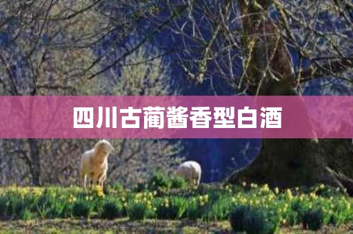 四川古蔺酱香型白酒