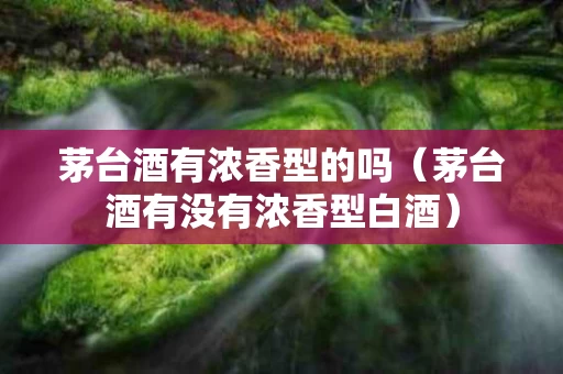 茅台酒有浓香型的吗（茅台酒有没有浓香型白酒）
