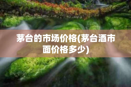 茅台的市场价格(茅台酒市面价格多少)