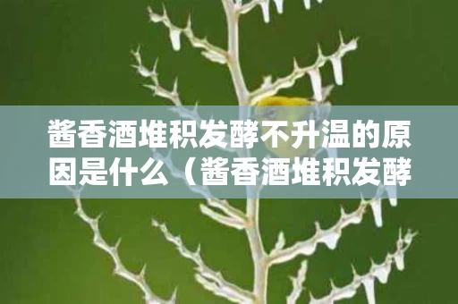 酱香酒堆积发酵不升温的原因是什么（酱香酒堆积发酵时间）