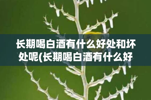 长期喝白酒有什么好处和坏处呢(长期喝白酒有什么好处和坏处呢视频)