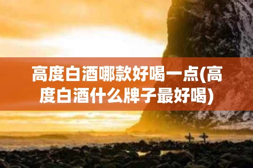 高度白酒哪款好喝一点(高度白酒什么牌子最好喝)