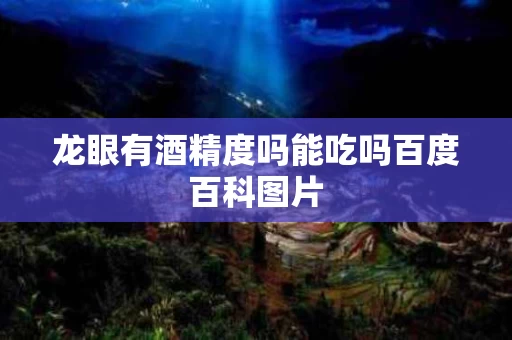 龙眼有酒精度吗能吃吗百度百科图片