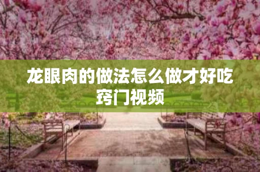龙眼肉的做法怎么做才好吃窍门视频