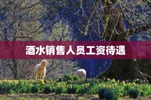 酒水销售人员工资待遇