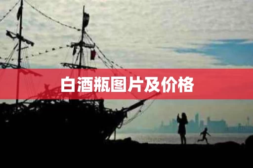 白酒瓶图片及价格