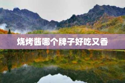烧烤酱哪个牌子好吃又香