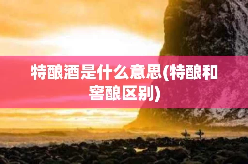 特酿酒是什么意思(特酿和窖酿区别)