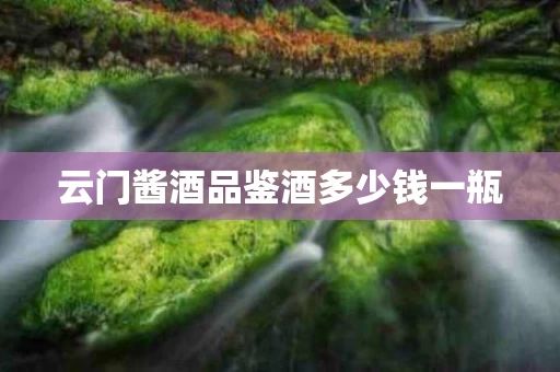 云门酱酒品鉴酒多少钱一瓶