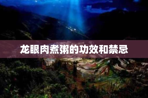 龙眼肉煮粥的功效和禁忌