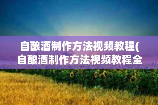 自酿酒制作方法视频教程(自酿酒制作方法视频教程全集)