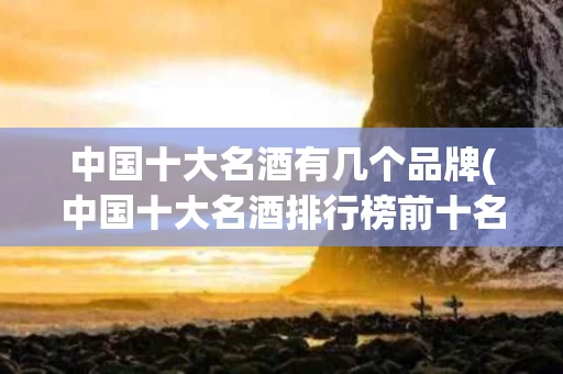 中国十大名酒有几个品牌(中国十大名酒排行榜前十名都有哪家)