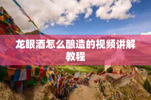 龙眼酒怎么酿造的视频讲解教程