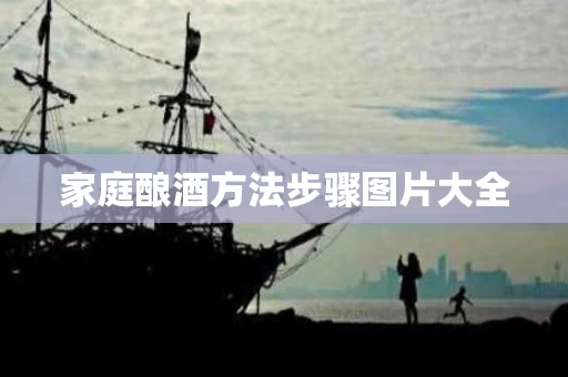 家庭酿酒方法步骤图片大全