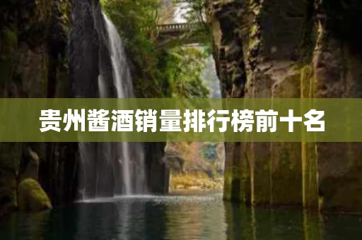 贵州酱酒销量排行榜前十名