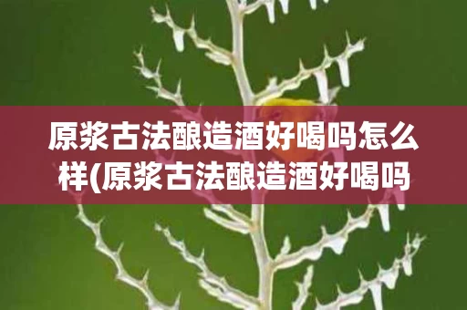 原浆古法酿造酒好喝吗怎么样(原浆古法酿造酒好喝吗怎么样啊)